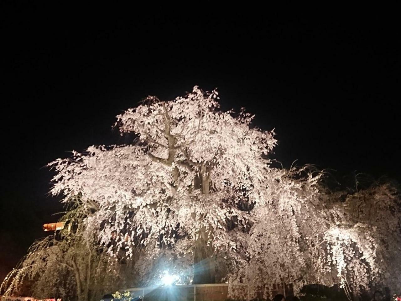 Hostel Kyoto Arashiyama Muko المظهر الخارجي الصورة