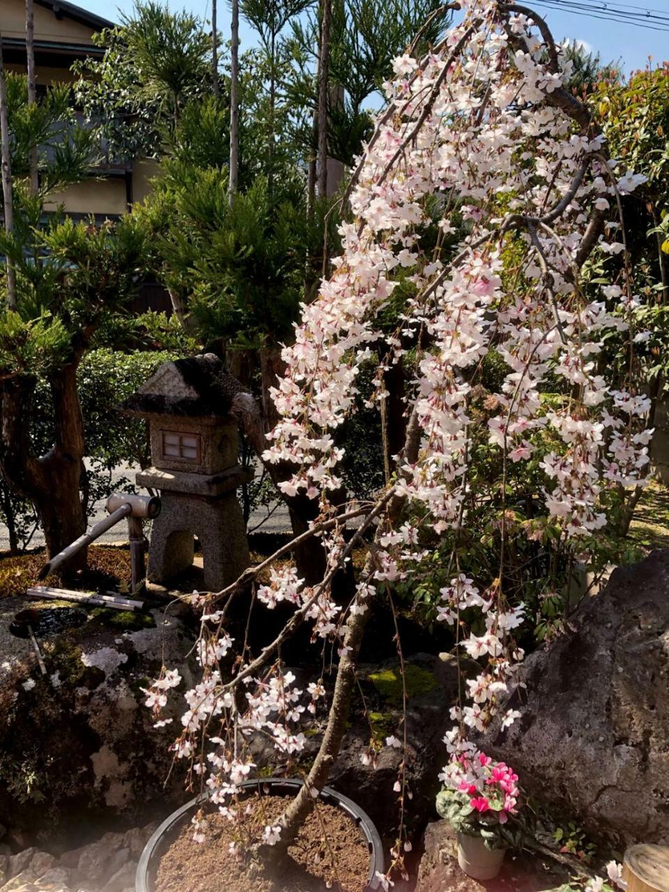 Hostel Kyoto Arashiyama Muko المظهر الخارجي الصورة